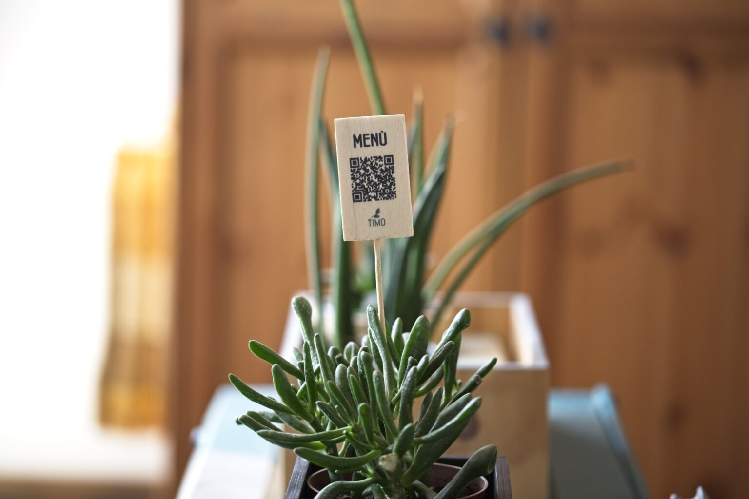 Supporto Johnny con MENÙ e QR inserito tra le piante nel locale Timo